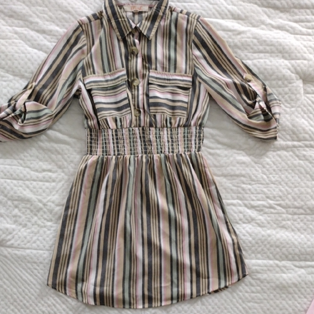 Blush Striped Shirt Dress in Pink, Sage & Navy